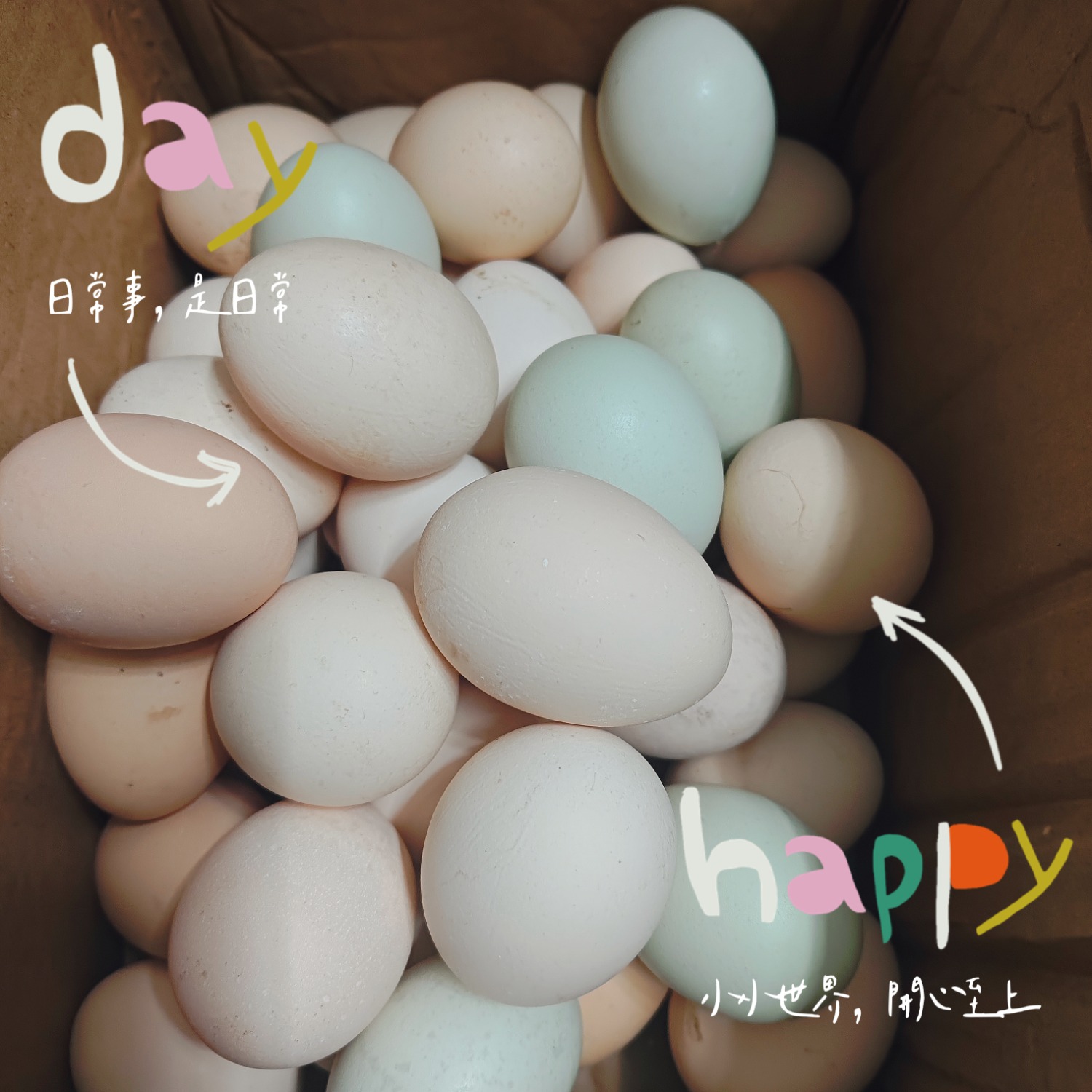 MEITU_20260430_225029738.jpg