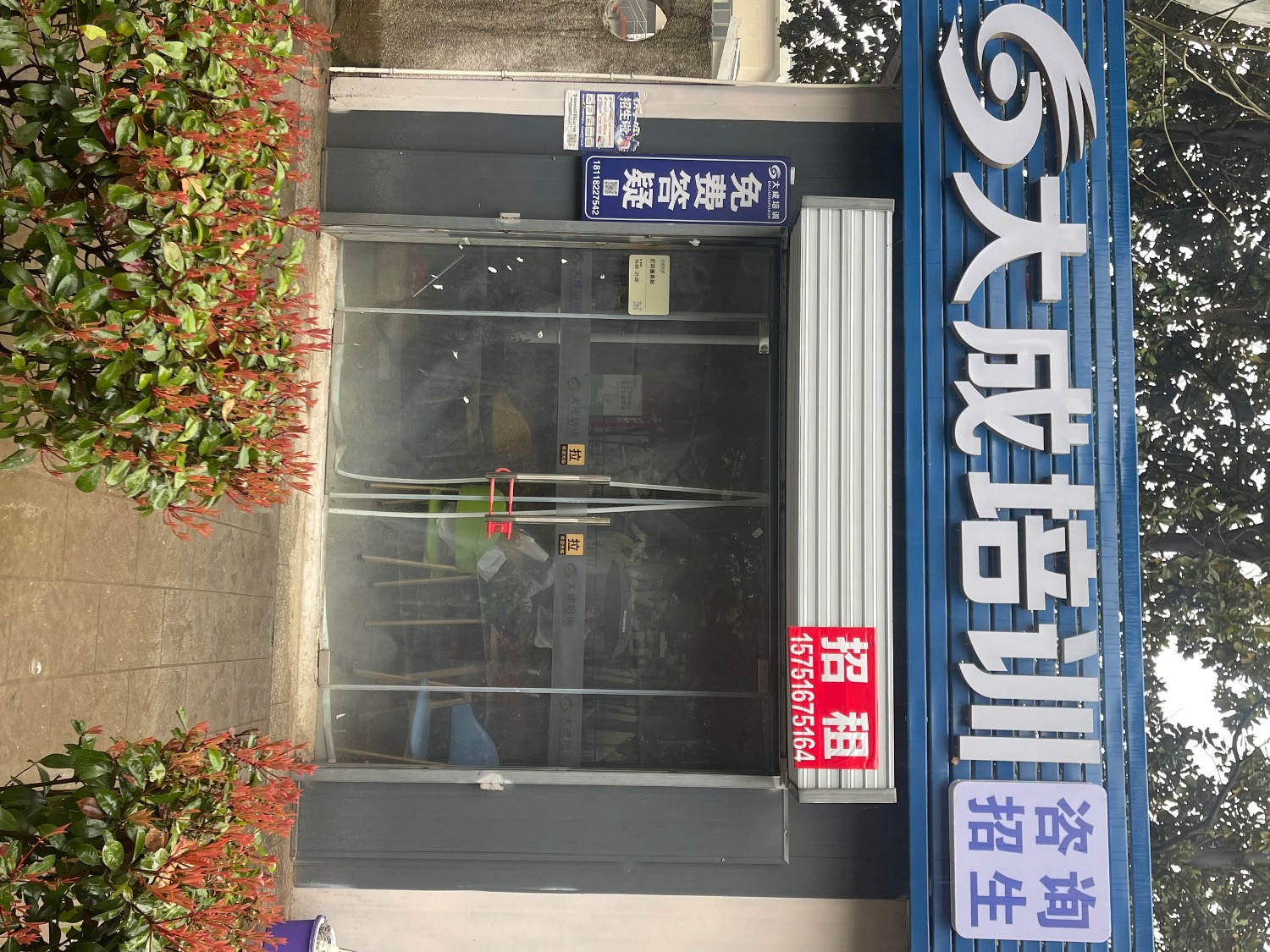 IMG_3397.jpeg