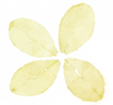 640?wx_fmt=png&from=appmsg#imgIndex=97.jpg