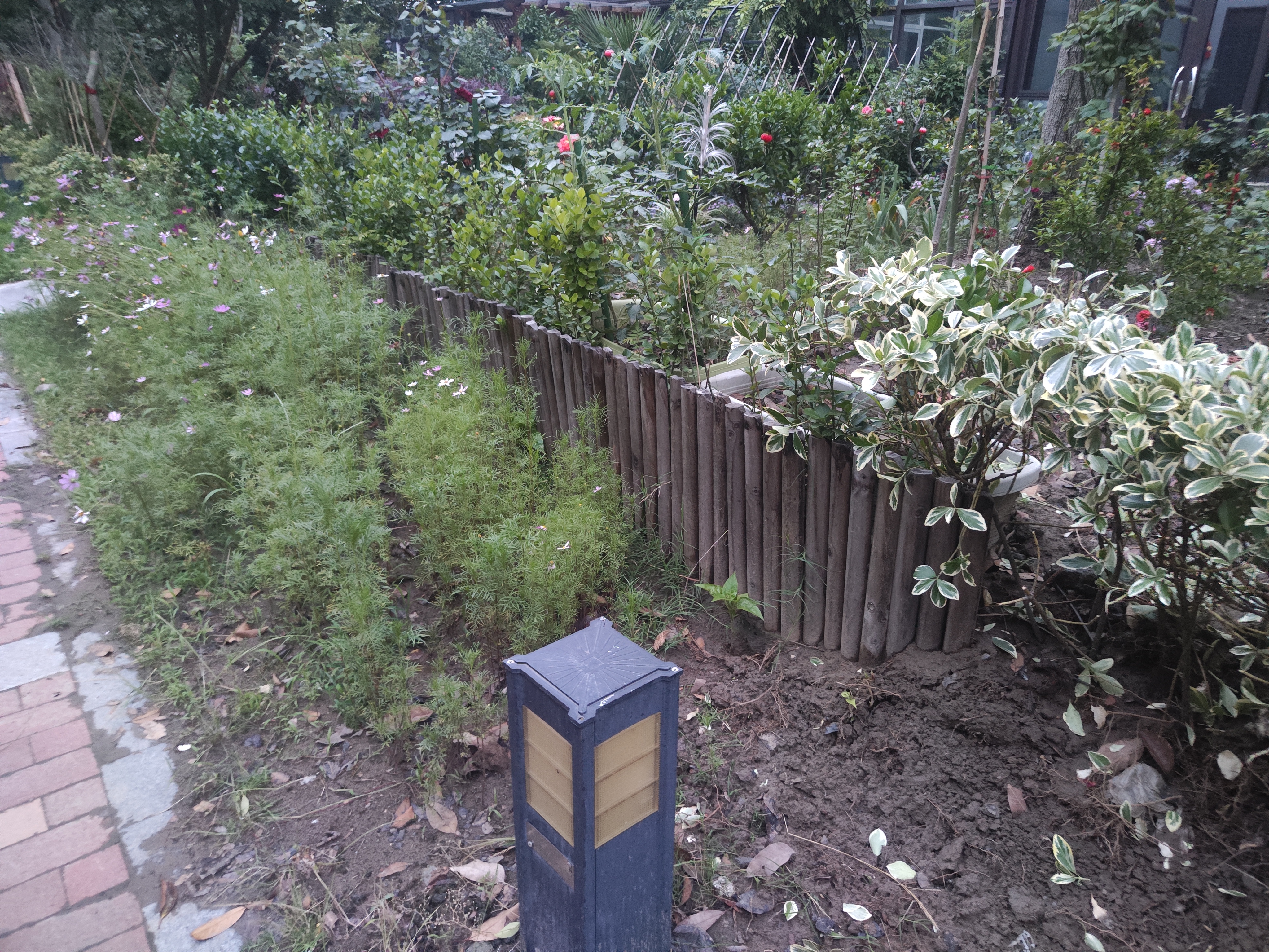 1201004522.jpg